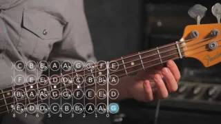 How to Play D ♯  E Flat Major Scale  Bass Guitar [upl. by Notyard]