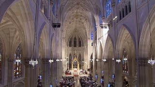 Restoring St Patricks Cathedral [upl. by Acimad738]