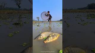 Unbelievable Bamboo Tools Polo Fishing Technique 😲Best Challenge Fishing video 2025🖤shorts [upl. by Boys]