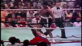 George Foreman vs Jimmy Young Highlights [upl. by Aerdied]