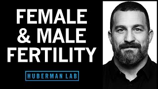 How to Optimize Fertility in Males amp Females [upl. by Eiknarf]