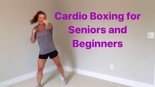 40 minute CARDIO BOXING AEROBICS for seniors and beginners [upl. by Otrebile]