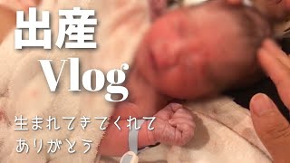 【出産】陣痛約16時間！長男誕生の瞬間【初産】Vlog [upl. by Lhadnek]