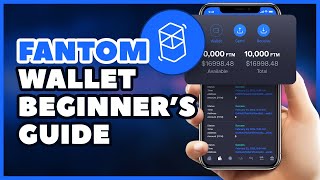 How To Setup amp Use Fantom Wallet  Tutorial  Animation [upl. by Aihtebat970]