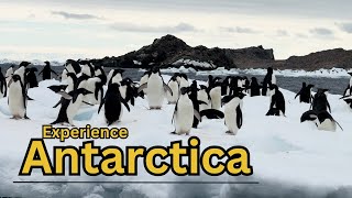 Visit Antarctica on an Expedition Ship  Adventureexplore wild beauty penguins whales and more [upl. by Elicia]