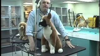 Groomers Helper Training Video [upl. by Rorrys]