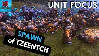 Spawn of Tzeentch  Unit Focus [upl. by Ynavoeg]