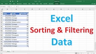 Excel Sorting and Filtering Data [upl. by Yerot428]