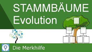 Stammbäume erstellen amp verstehen  Prinzipien der Stammbaumentwicklung  Evolution 22 [upl. by Anselmo]