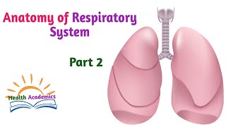 Anatomy of Skeletal System Informative Video Lecture with Amharic Speech Part 3 [upl. by Aerdnu]