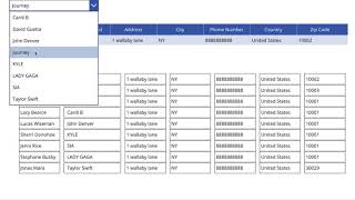 How Create Editable Excel Like Table in PowerApps [upl. by Aimekahs]