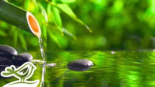 Peaceful Spa Radio 💦 Water Sounds amp Relaxing Music 247 [upl. by Ramey555]