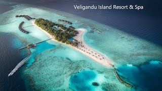 Maldives Hotels  Veligandu Island Resort amp Spa [upl. by Aknahs]