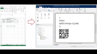 Connect Excel Data to NiceLabel and Print Label From Excel Data [upl. by Lupiv9]