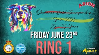 OBEDIENCE FCI WORLD CHAMPIONSHIP  SPAIN 2023 RING 1  Qualifications [upl. by Nyladnarb]