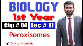 Peroxisomes  Chapter 4  1st year Biology  Lec  11 [upl. by Cressi216]