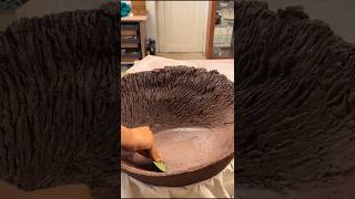 Pottery Wheel 🕊️🧿 pottery ceramic clay handmade shortvideo viral rachnayadav99 [upl. by Rossie631]