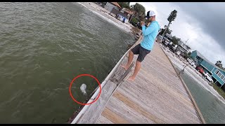 Land Based Food Chain Challange  Anna Maria Island Florida Fishing [upl. by Renato20]