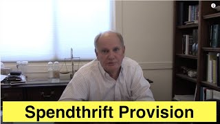 Spendthrift Trust Provision [upl. by Aslin]