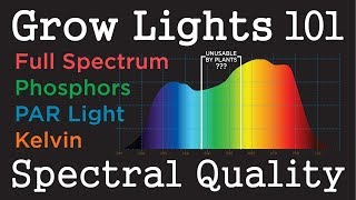 PAR Light Quality LEDs amp HID Plant Grow Light Basics 101 Do Plants Use Green Light [upl. by Goltz141]