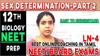 sex determination Part 2 Class12 Tamil biology simplified  NCERT  TNSCERT Easy to study [upl. by Beasley604]