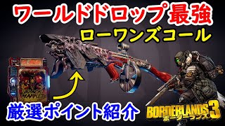 Borderlands3【ボーダーランズ3】初心者用‼ワールドドロップ最強武器ローワンズコールの厳選ポイントと金策方法紹介‼ [upl. by Trescha]