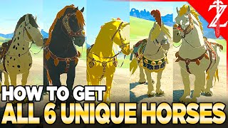 How to Get All 6 Unique Horses in Tears of the Kingdom [upl. by Rocker]