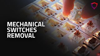 How to remove and replace mechanical switches on a Dygma Raise keyboard [upl. by Uol]