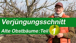 Verjüngungsschnitt  Alte Obstbäume schneiden  Teil 1 [upl. by Melcher611]