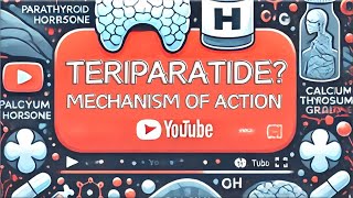 【Teriparatide】 PTH analog Pharmacology Forteo® Mechanism of Action Simply Explained [upl. by Asikal]