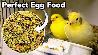 How to make the PERFECT Breeding amp Rearing egg food for Birds  Finches amp Canaries [upl. by Hobey]