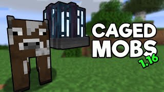 Caged Mobs Mod Spotlight  Minecraft 1164 [upl. by Sirtimed]