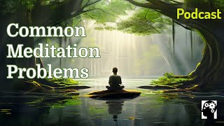 Common Meditation Problems [upl. by Laamak]