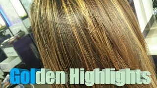 Golden Highlights  Blonde colour  LOreal Hair colouring indian hair [upl. by Onit440]