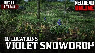 Violet Snowdrop RDR2 Locations  Red Dead redemption online Daily challenges [upl. by Yee]