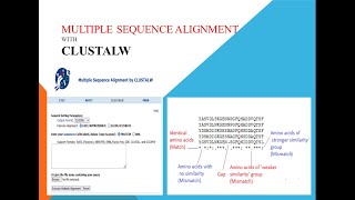 Multiple Sequence Alignment with CLUSTALW tool [upl. by Hanah]