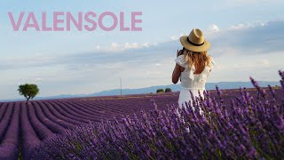 Lavender Fields of Valensole Provence France [upl. by Levin]