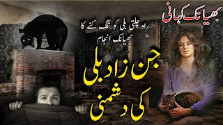 Possessed Cat  Jinzad Billi  URDU  HINDI Horror Story [upl. by Aldon477]