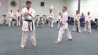 KUMITE DRILLS Footwork and Fitness [upl. by Anauqaj449]