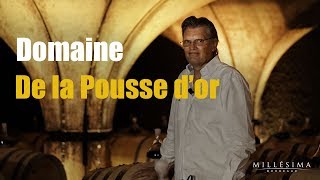 DOMAINE DE LA POUSSE DOR  BOURGOGNE  MILLESIMA [upl. by Mollee]