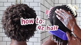 Curly Hair 101 Beginners Guide to 4C Hair [upl. by Lihp420]