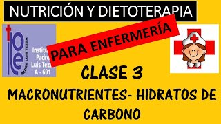 CLASE 3  HIDRATOS DE CARBONO Composición Digestión y fuentes Indice glucémico [upl. by Phelips478]