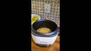 Black and Decker rice cooker and Steamer unbox and first use [upl. by Ingelbert]