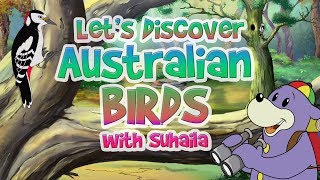 Zaky Discovers Australian Birds [upl. by Ty]