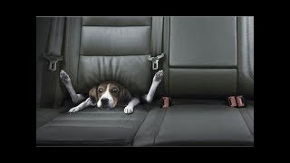 Best Car Commercials Ever  Greatest Car Ads All Time  The Used Car Guy [upl. by Hamachi]