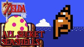 The Legend of Zelda Links Awakening DX  All Secret Seashells [upl. by Neros]