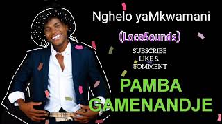 Pamba gamenandje Official audio [upl. by Enelime]