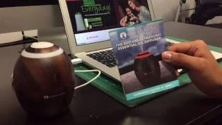 Gurunandas Egg USB Ultrasonic Essential Oil Diffuser [upl. by Dorahs]