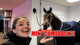 ♘STALLVLOGG ♘ MIN COMEBACK [upl. by Atlas317]