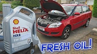 Skoda Fabia Oil  Filter Change [upl. by Mord]